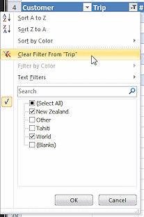 5. Click the filter button on the Trip column again. 6. Click Clear Filter From "Trip". The full table reappears. 7. Experiment: Filter Try out filters on different columns and clear them.