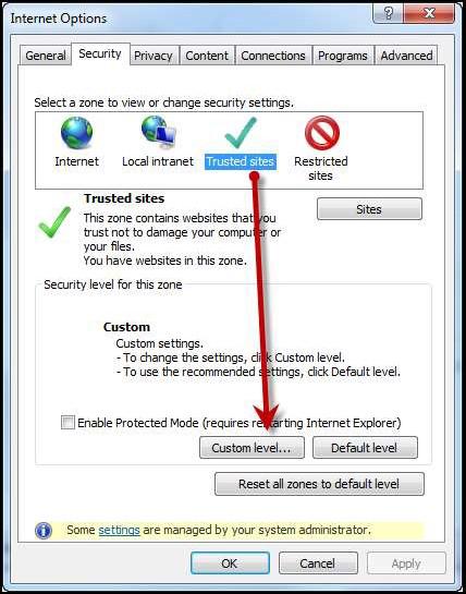 A list of security settings appears. Select the settings detailed below. a. Under the heading ActiveX controls and plugins, the following three options should all be set to Disable: i.