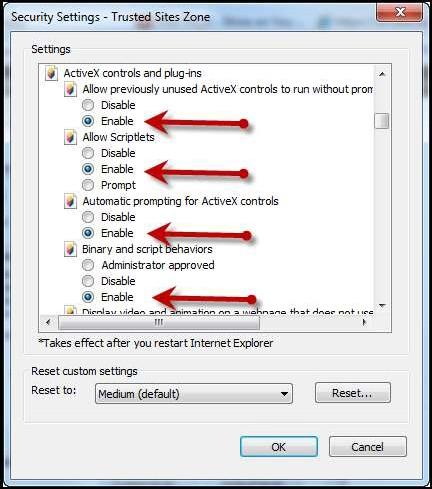 iii. Initialize and script ActiveX controls not marked safe for scripting. b.