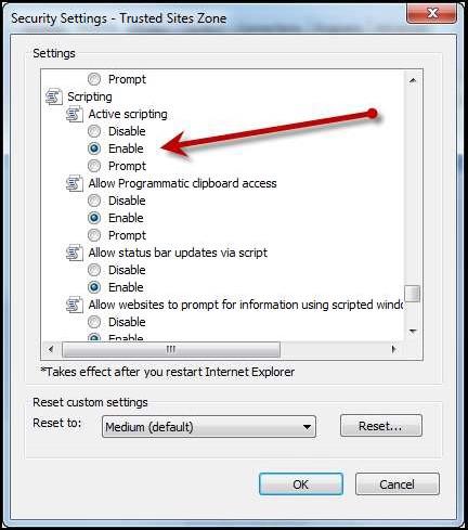Enabled. FIGURE 9- ACTIVEX CONTROLS AND PLUGINS SETTINGS c.