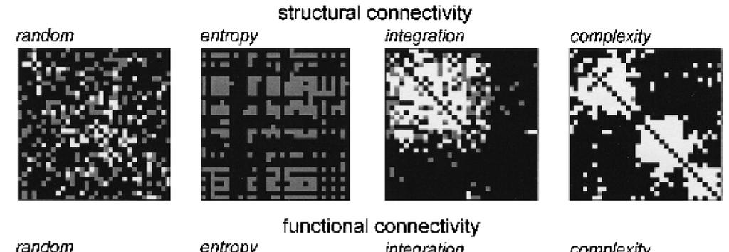 5 Fig. 1. Structural connectivity and functional connectivity.