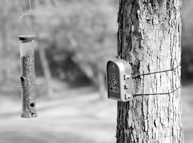 This is an excellent way to get close-up photos and videos of many birds that do not regularly visit feeders.