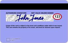 2.1.1 Varnostna koda plačilne kartice (Card Verification Value) Varnostna koda plačilne kartice je v pogosto označena tudi kot: Card Verification Value (CVV ali CVV2); Card Verification Code (CVC ali