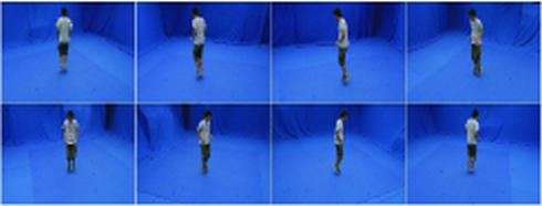Figure 5: Eight synchronized video