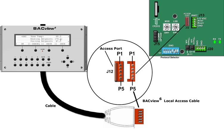 Installation Virtual BACview Virtual BACview is a freeware software application that mimics the BACview6 Handheld. The USB Link cable (USB-L) is required to connect a computer to the RTU Open board.
