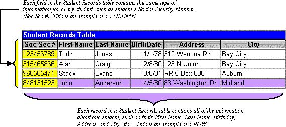 Tables A table is a collection of data about a specific topic, such as students or contacts.