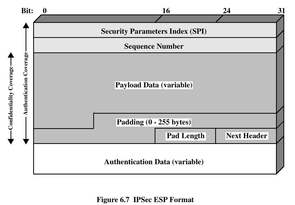 Encapsulating Security Payload