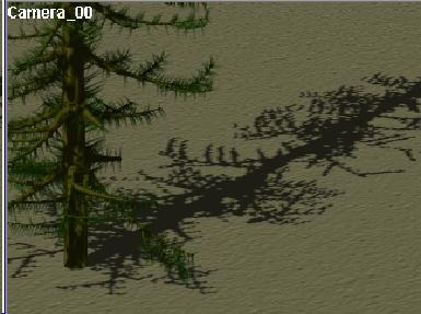 We are going to use the foliage shadow and leave it to 1 and then see what happens if we render the camera viewport.
