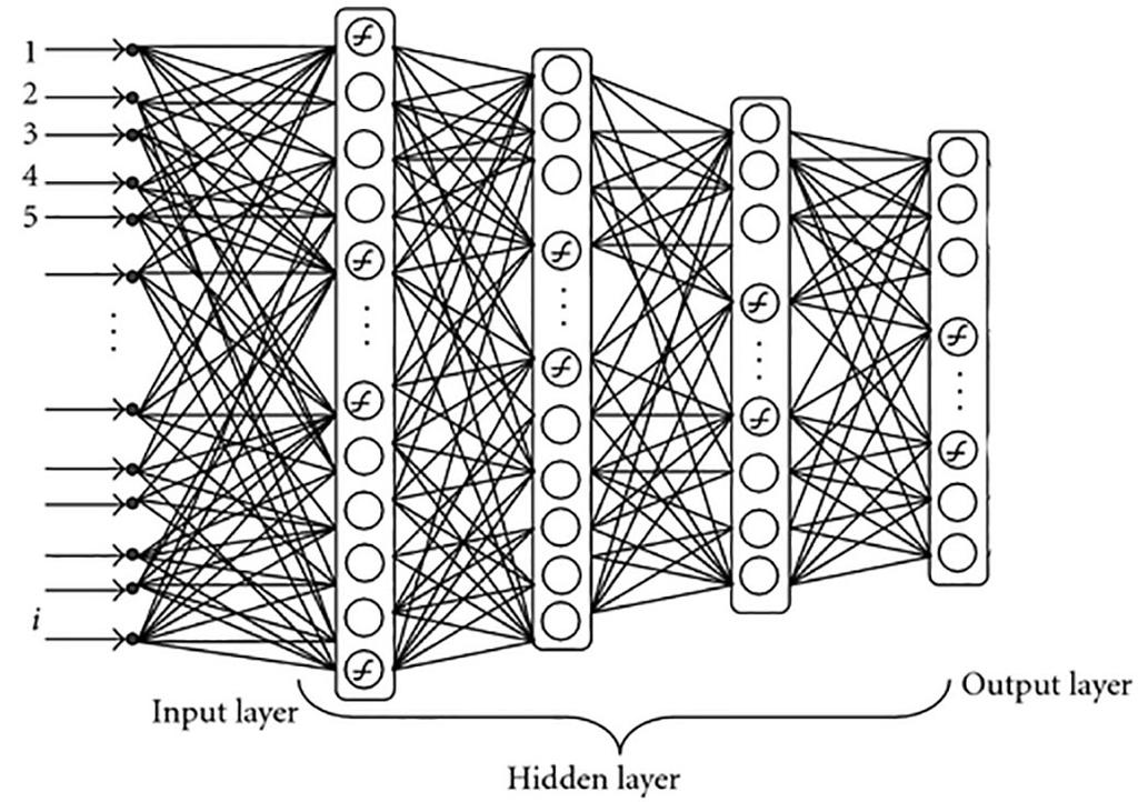 Deep Neural Networks A network that consists of computation units (layers, or nodes) connected via a specific architecture.