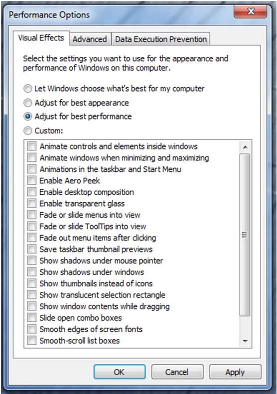 The performance Options window will be displayed. 8.