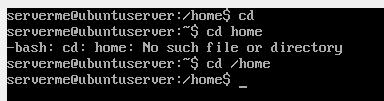 cd - Another useful shortcut with cd is to just type cd - to go to the previous directory. Absolute and relative paths You should be aware of absolute and relative paths in the file tree.