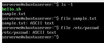 Chapter 6. Working with files All files are case sensitive Files on Linux (or any Unix) are case sensitive.