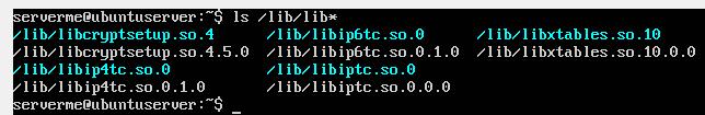 Some applications, often when installed directly from source will put themselves in /opt. A samba server installation can use /opt/samba/bin to store its binaries.