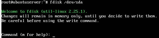 View all fdisk Commands You can use the following command to view all
