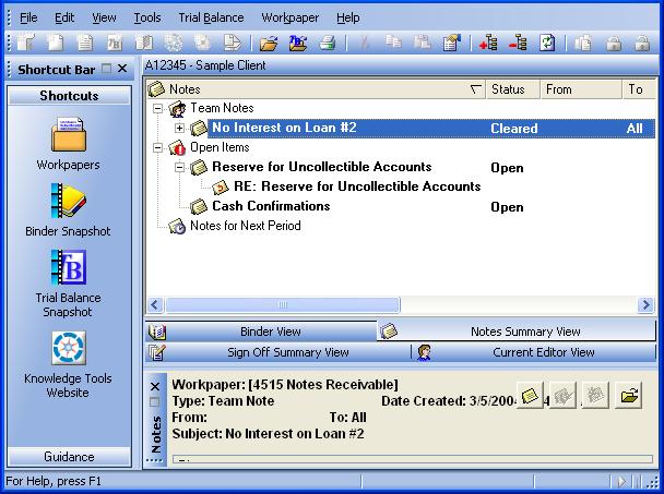 Binder Window Assigned To. The team member who the current editor has assigned the workpaper to prior to synchronizing. (Does not display in shared file rooms.) 3. Notes Pane.