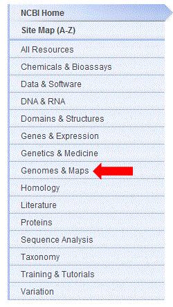 ev links to the Evidence Viewer, where you can view all the sequence data that contributed to your gene's build mm links to the MapViewer Model Maker, where you can build different splice variants of