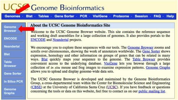 As always, the Biosciences & Bioinformatics Librarian at Galter is available to help you.