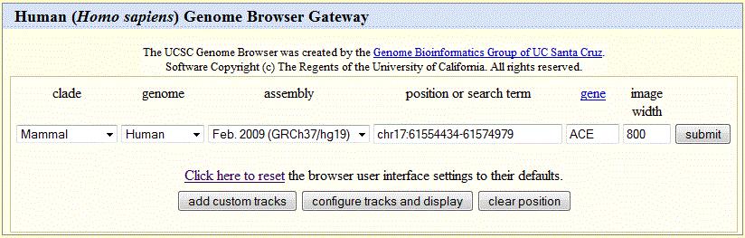 You can search by chromosome and position, by keyword, or by gene symbol.