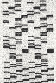 DNA sequencing evolution