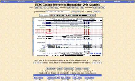 Gene Sorter: Results Open Genome Browser to location of chosen gene Browser