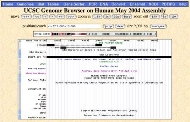 Custom Tracks: Track Appears in Genome Browser Copyright