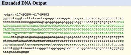 Common SNPs are shown in bold, and Flagged SNPs are displayed in bold and underlined. Figure 1.4.6 Output from the DNA display configurations set up in Figure 1.4.5. Exons are shown in uppercase.