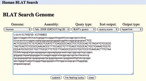 Figure 1.4.7 A BLAT search set up to align the FASTA sequence in the text box against the Feb. 2009 (GRCh37/hg19) human genome assembly.