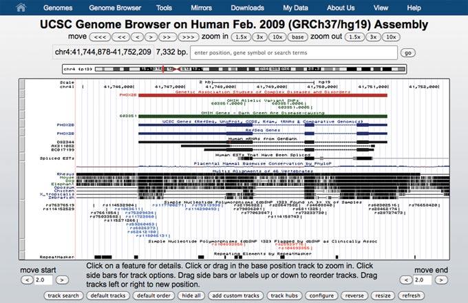 Figure 1.4.2 The Genome Browser annotation track page zoomed out to display the PHOX2B gene and its 5 and 3 flanking regions on human chromosome 4 (chr4:41744878-41752209) in the Feb.