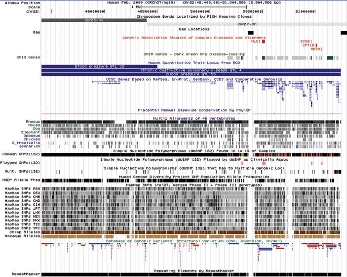 Figure 1.4.4 The Genome Browser annotation track page displaying chromosome bands 22q13.32 and 22q13.33 on chromosome 22 (chr22:48400001-51304566) in the Feb. 2009 human assembly (GRCh37/hg19).