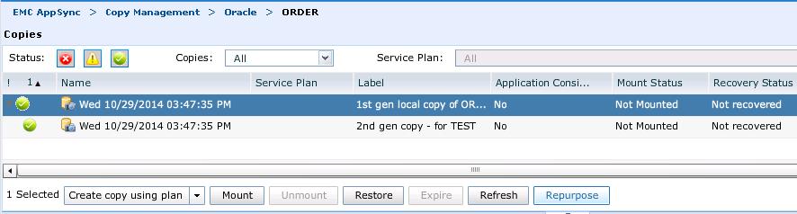 To create the copy for development, select the new 1 st generation copy and perform the following steps. You can only create a 2 nd generation copy: 1.