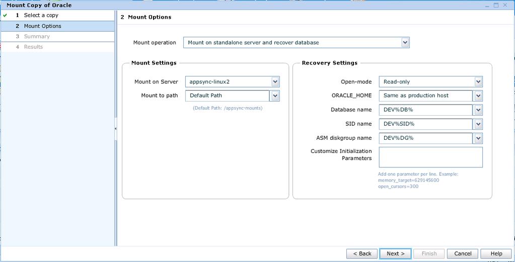 Chapter 5: Use Cases 3. In the Mount Options page, select the desired Mount Settings and Recovery Settings and click Next, as shown in Figure 39.