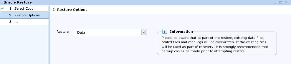 In the Restore Options page, as shown in Figure 49, select what must be restored and click Next: For a copy with hot backup disabled, you can