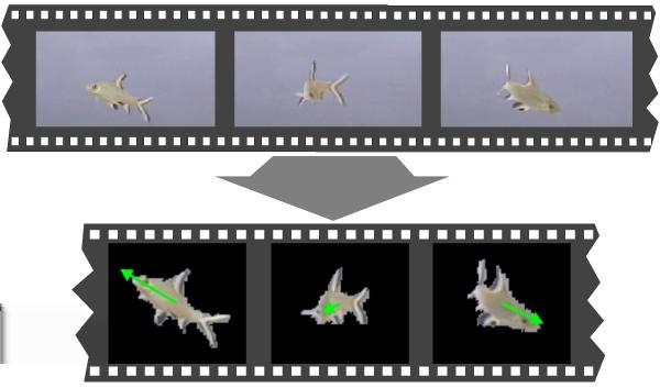 8 CS294-13: Lecture #15 Figure 7: Extracted video sprite of a fish derived via blue screen matting and veloctiy estimation.. References [1] Alexander Keewatin Dewdney.