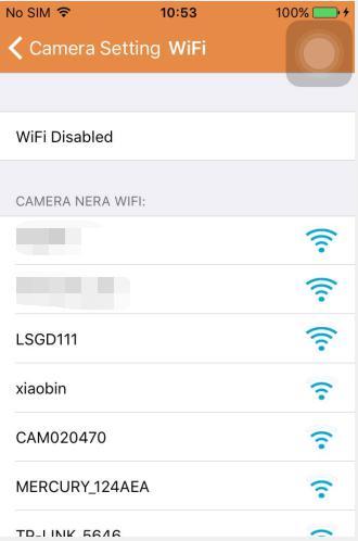 WiFi setting:click in the desired WiFi SSID, then enter the password in the next screen and the camera will be connected to the WiFi (a