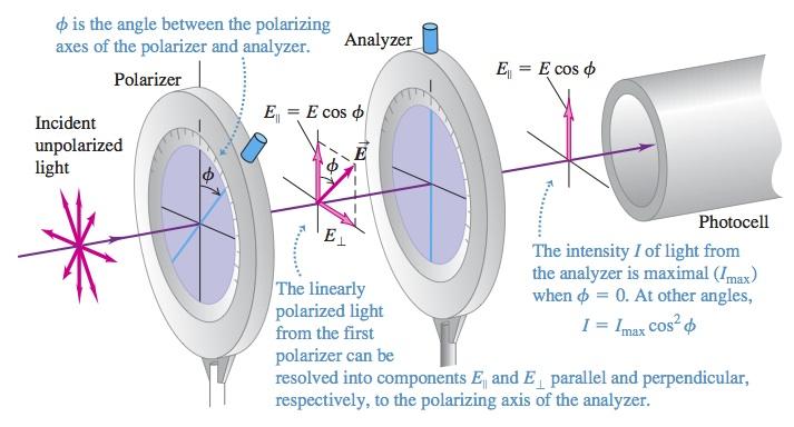 Suppose transmitted light is passed through second polarizer (analyzer). Amplitude that's blocked is E = E sin φ!