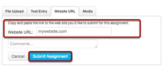 Submitting a Website URL Type or copy and paste the URL into the Website URL field.