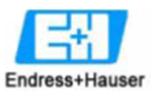 Endress+Hauser W@M Instrument SPI Interface Endress+Hauser works with Thomas Net to create their S3D DDP data Endress+Hauser SPI interface workflow is as