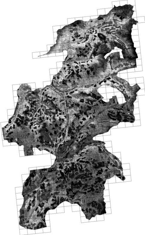 Data Pre-Processing: Filtered and classified xyz point cloud is tiled and exported