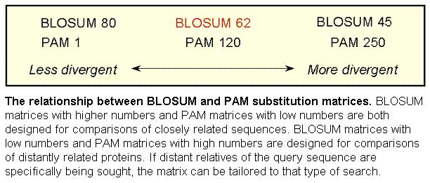 BLOSUM versus PAM matrices Bi03a_25 BLOSUMandPAM.