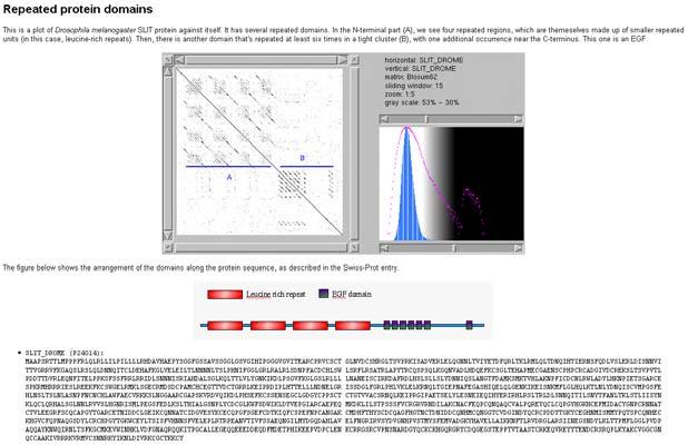 gif Dot Matrices: Real life examples & Software Bi03a_46 Repeated protein