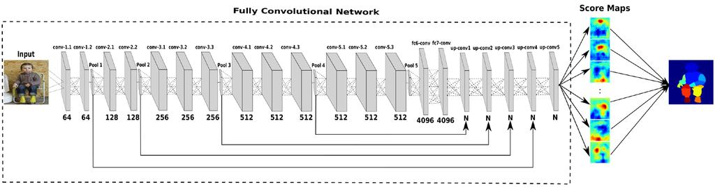 Network Architecture Fully convolutional network Contraction and expansion of