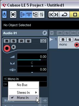 4. Make sure that Mono In is selected for the audio track s input and that Stereo Out is selected for the audio tracks output.