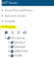 USING LIBRARIES IN SAS All SAS data sets are stored in a folder or directory known as a SAS library. You can view the active libraries by clicking on the Libraries tab.