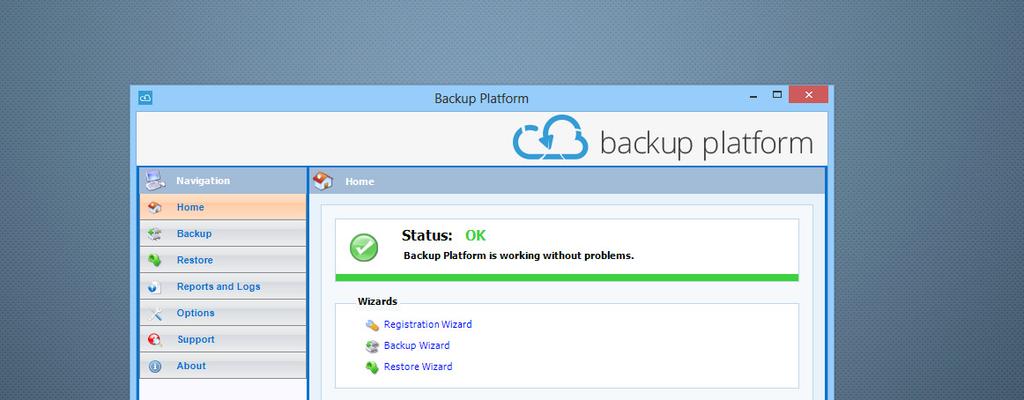 Due to an extensive SLA you can always access your backed-up data.