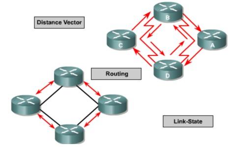 Routing Protocols Most routing algorithms can be classified into one of two categories distance vector link-state The distance vector routing approach determines the direction (vector) and distance
