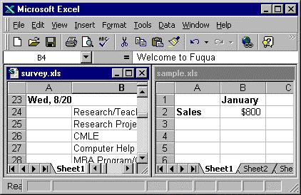 Viewing multiple windows (and moving between them) You can open multiple window views of the same worksheet or open and view sheets from