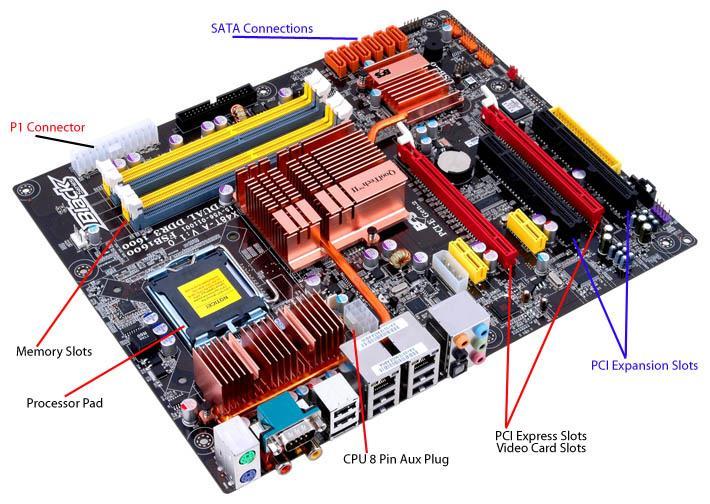 Typical Motherboard 11 12 What is a CPU?