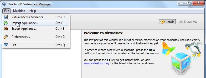 11gr1-ps5-2-0-M.ova file. You can change the name of the virtual machine if you wish.