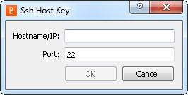 If a Password is required, you can store the key file password for all representatives to use, or you can require representatives to enter the key file password each time they connect to a