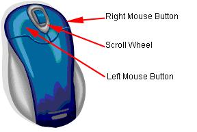 5. USING THE PACS WEB MOUSE CONTROLS In previous sections you have seen how to use the mouse to point-and-click various functions that are available in the PACS Web application.